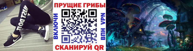 Псилоцибиновые грибы Psilocybine cubensis  Нижний Тагил 
